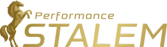 StaLem Performance